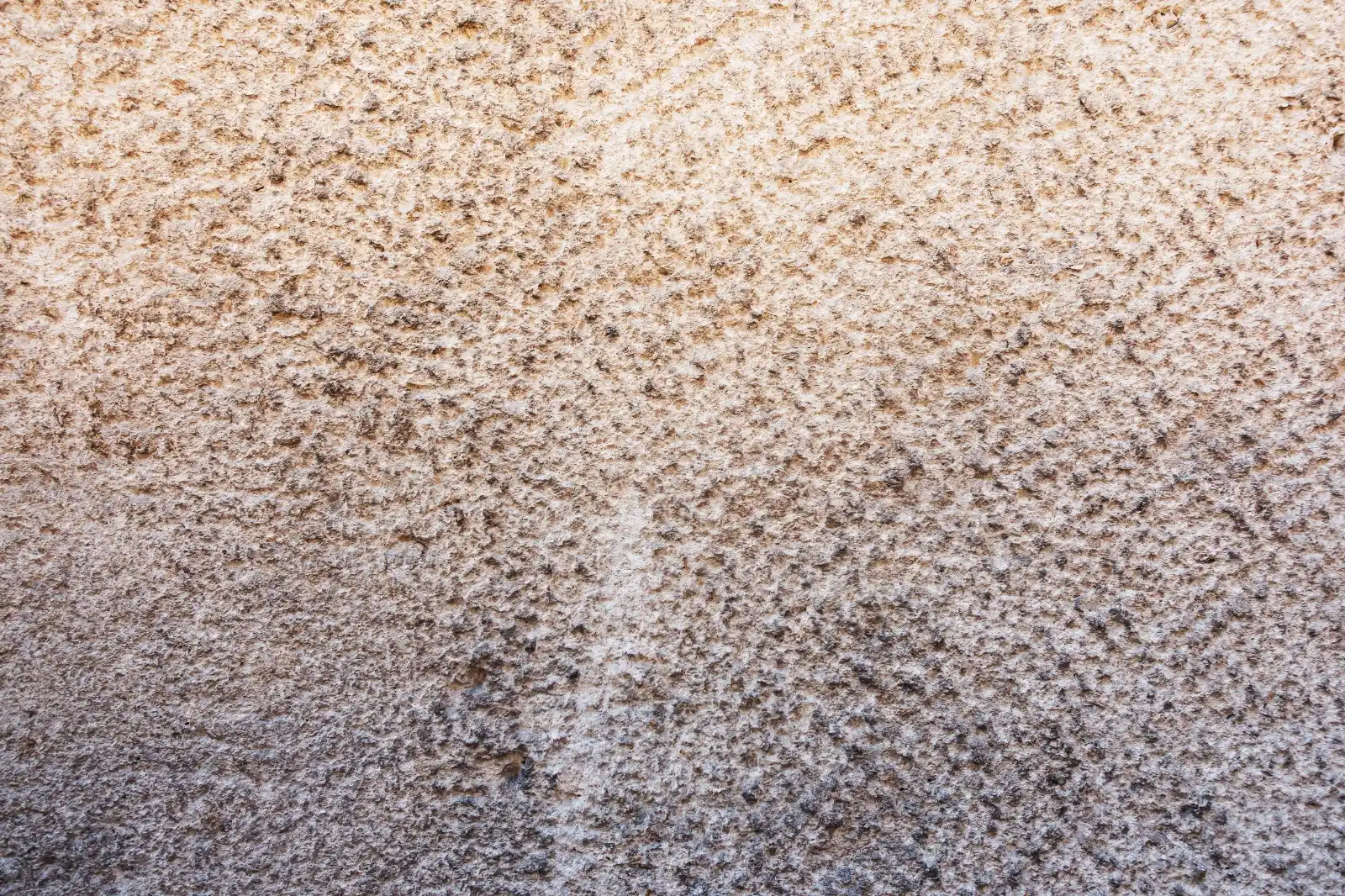 Before: Carpet & Gailaicha Deep Cleaning – Living Room