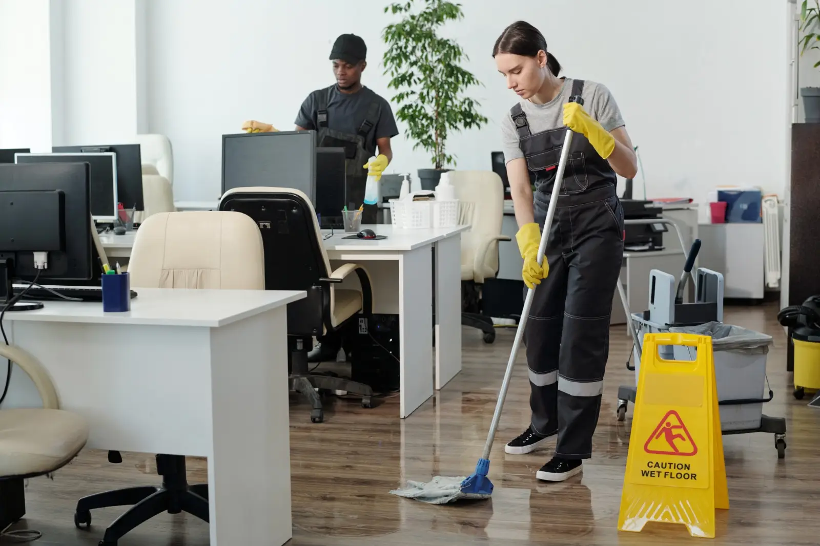 Complete Domestic & Commercial Cleaning